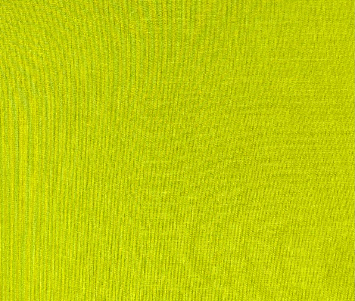 Lime Green Floral Embroidered Anarkali Kurta Set with Dupatta